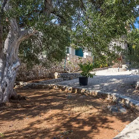 Apartment By The Sea Razanj, - 15998 *